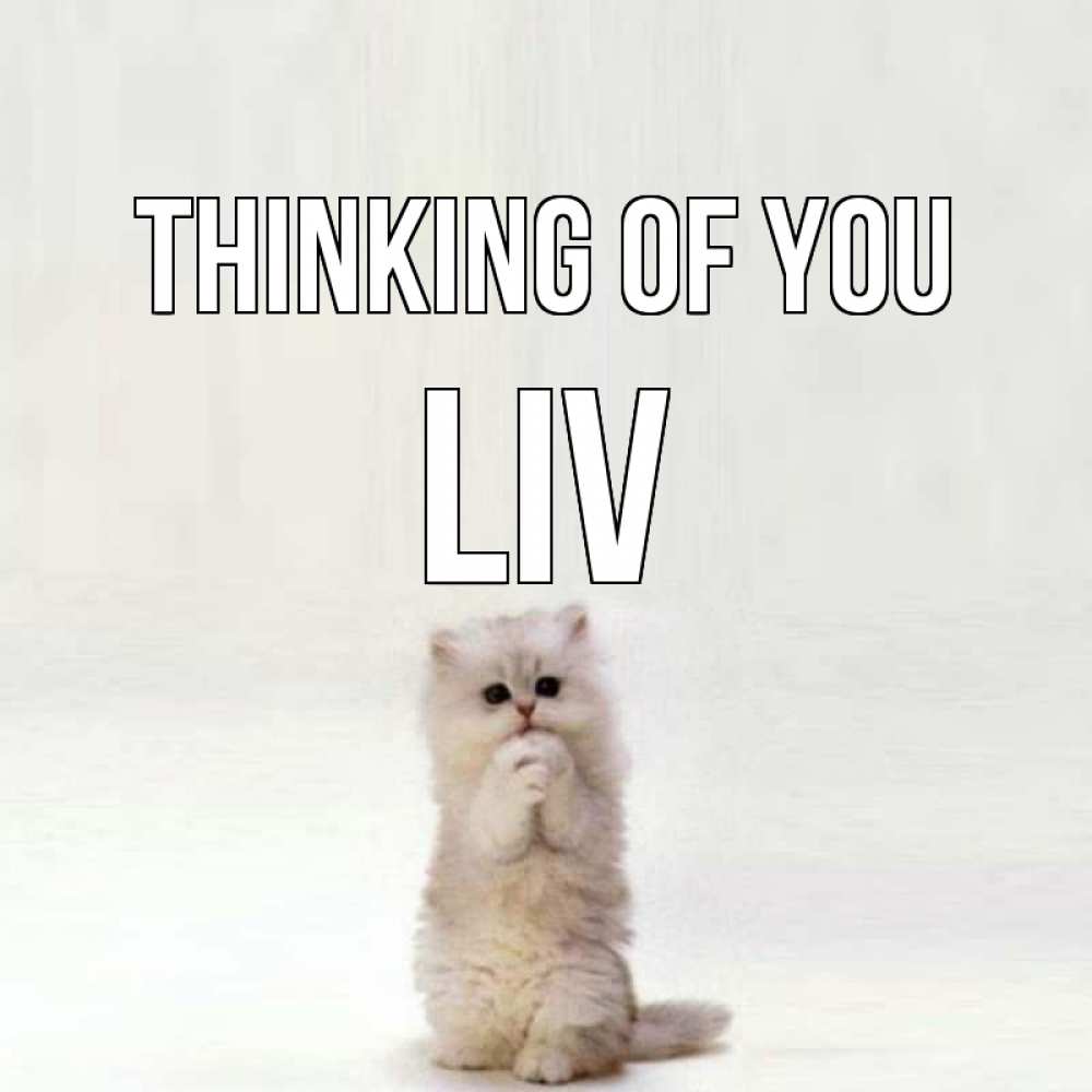 Greetings card с именем, Liv Thinking of you кот стоит на задних лапах Greetings with text for free download 