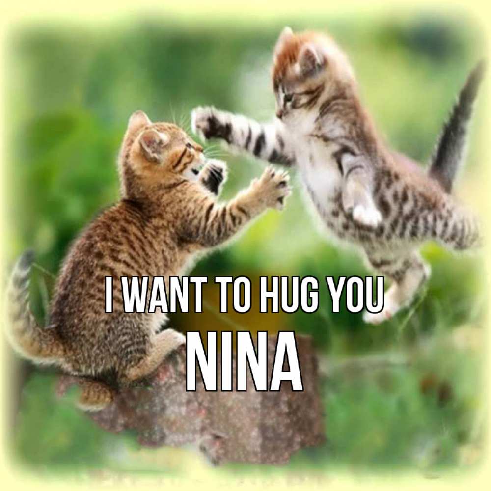 Greetings card с именем, Nina I want to hug you игры котят Greetings with text for free download 
