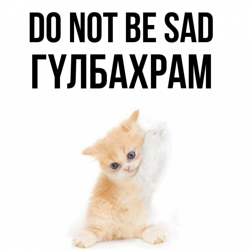 Greetings card с именем, ГҮЛБАХРАМ Do not be sad просящий кот Greetings with text for free download 