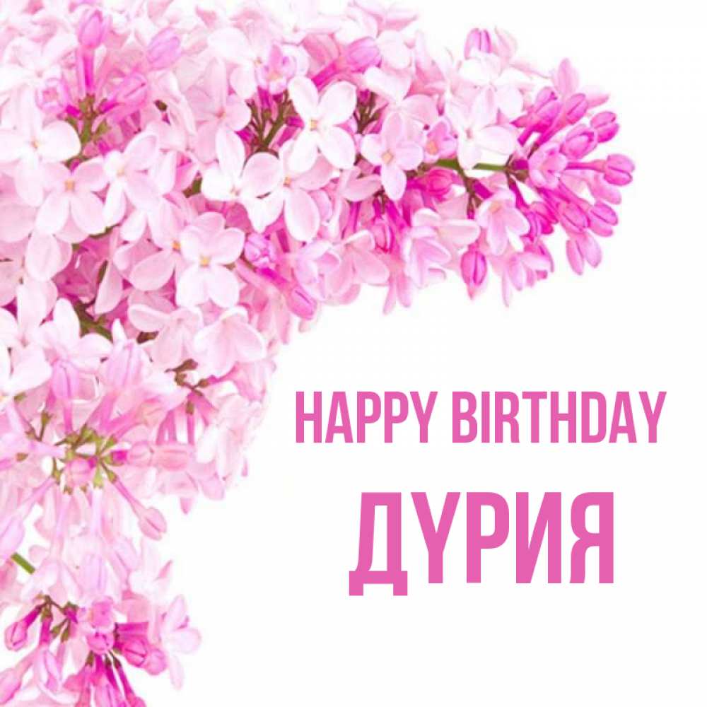 Greetings card с именем, ДҮРИЯ Happy Birthday Сирень на белом фоне Greetings with text for free download 