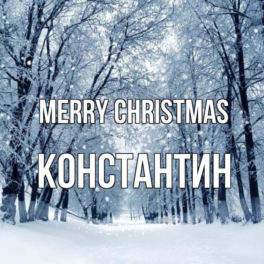 Greetings card с именем, Константин Merry Christmas снег, лес, парк Greetings with text for free download 