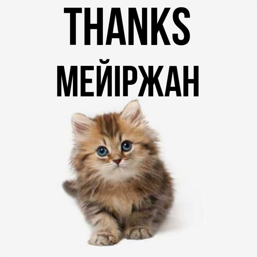 Greetings card с именем, МЕЙІРЖАН Thanks пушистый котик Greetings with text for free download 