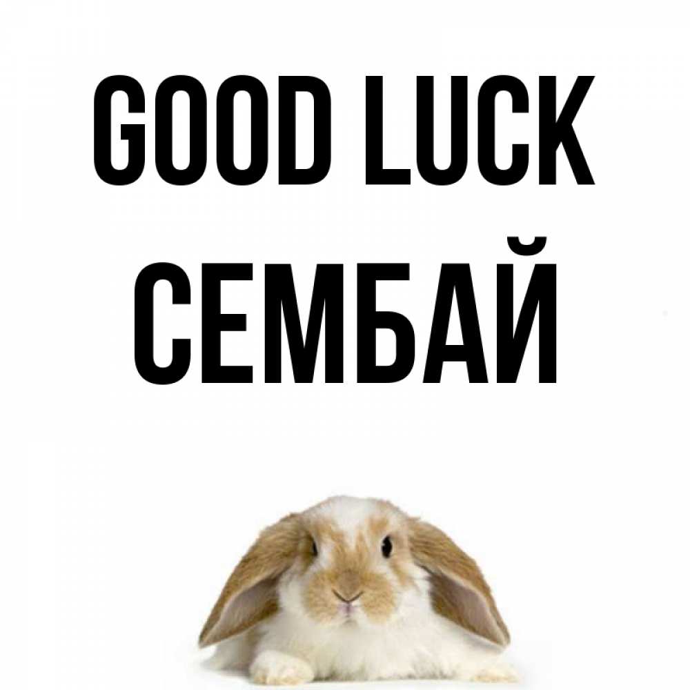 Greetings card с именем, СЕМБАЙ Good luck открытки с произвольным текстом который можно вставить в открытку и создать ее самостоятельно бесплатно онлайн Greetings with text for free download 