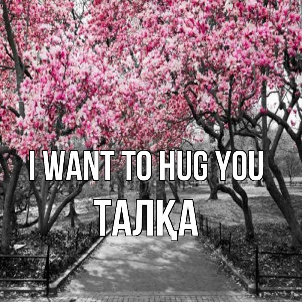 Greetings card с именем, ТАЛҚА I want to hug you обработанное фото Greetings with text for free download 