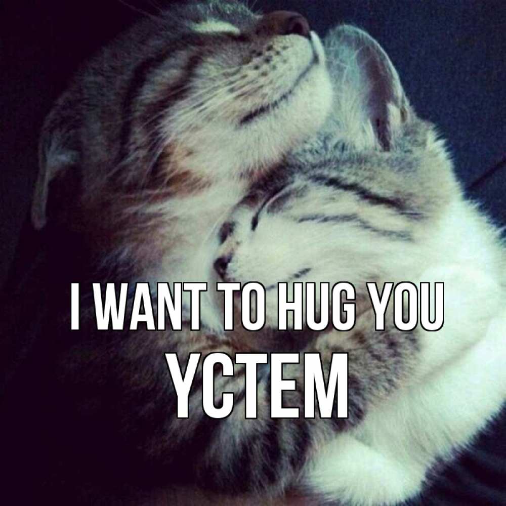 Greetings card с именем, ҮСТЕМ I want to hug you полосатики Greetings with text for free download 