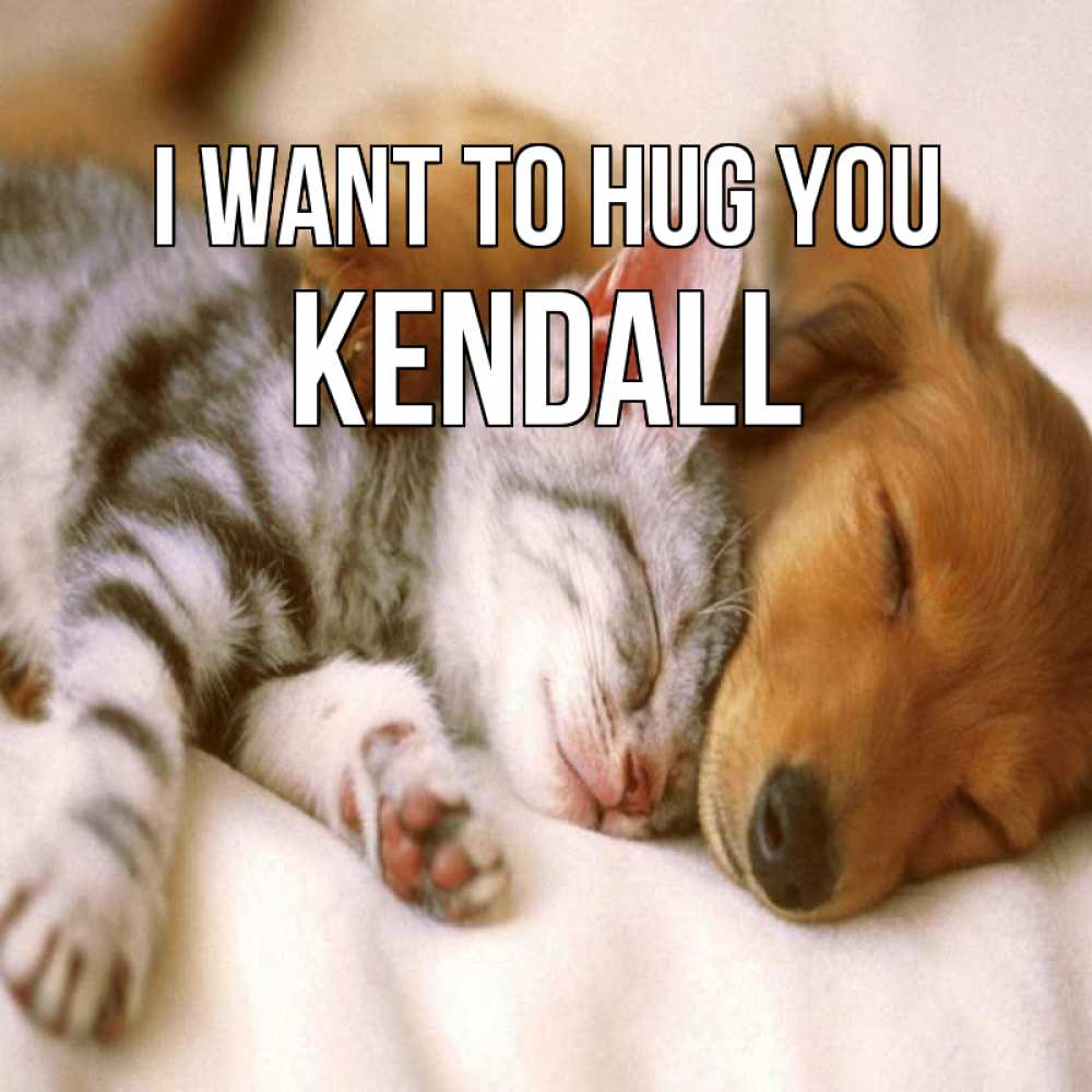 Greetings card с именем, Kendall I want to hug you пес и котенок Greetings with text for free download 