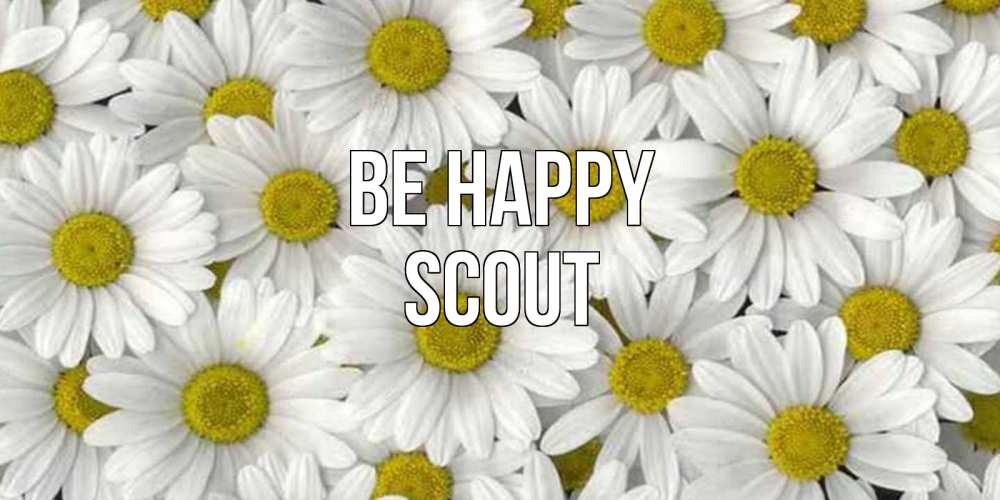 Greetings card с именем, Scout Be happy поляна ромашек Greetings with text for free download 
