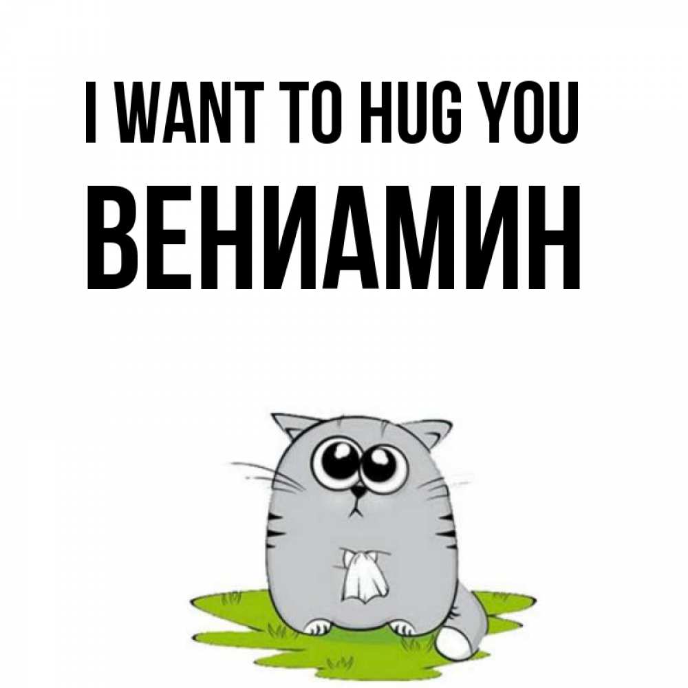 Greetings card с именем, Вениамин I want to hug you котик теребит платочек сидя на травке Greetings with text for free download 