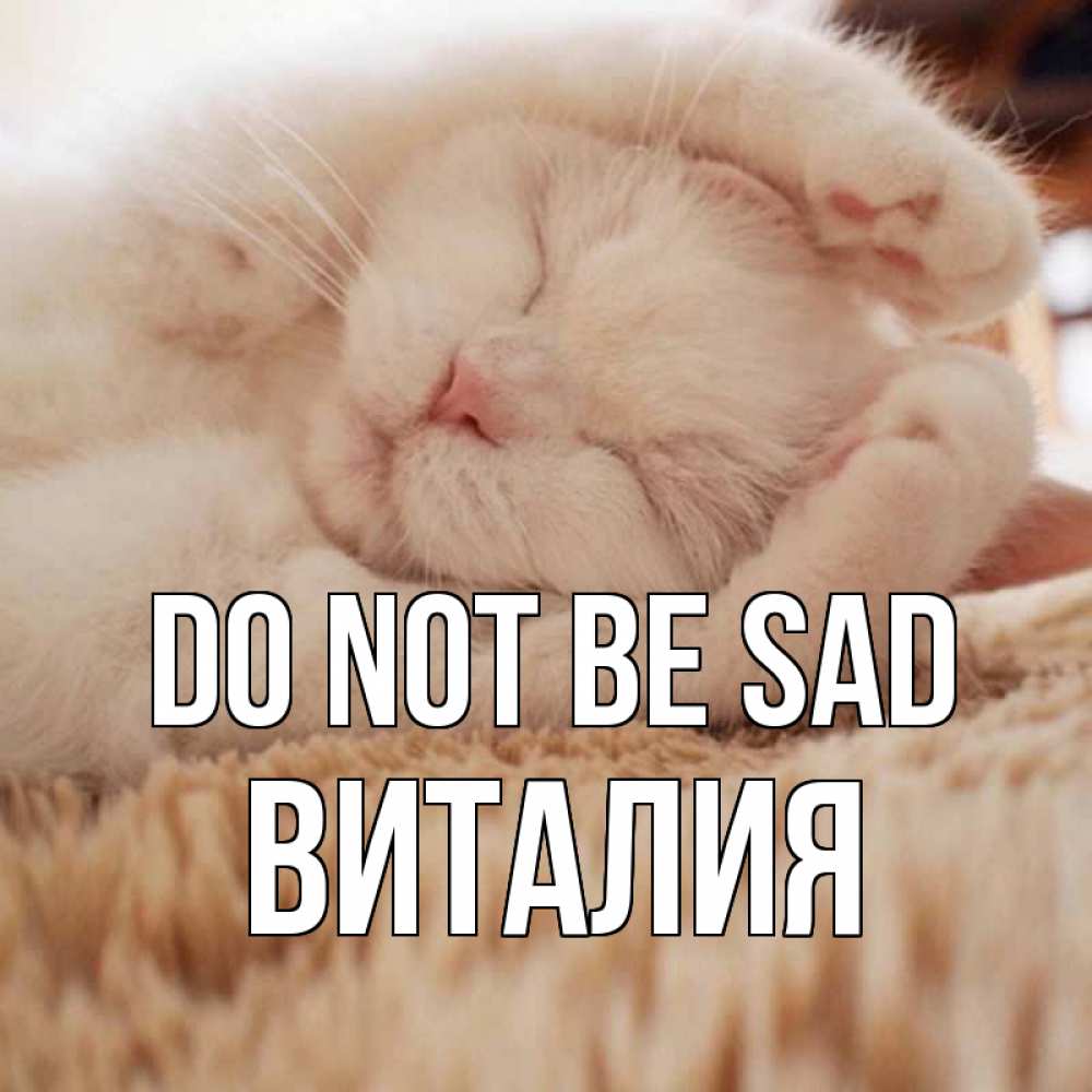 Greetings card с именем, Виталия Do not be sad белый кот Greetings with text for free download 