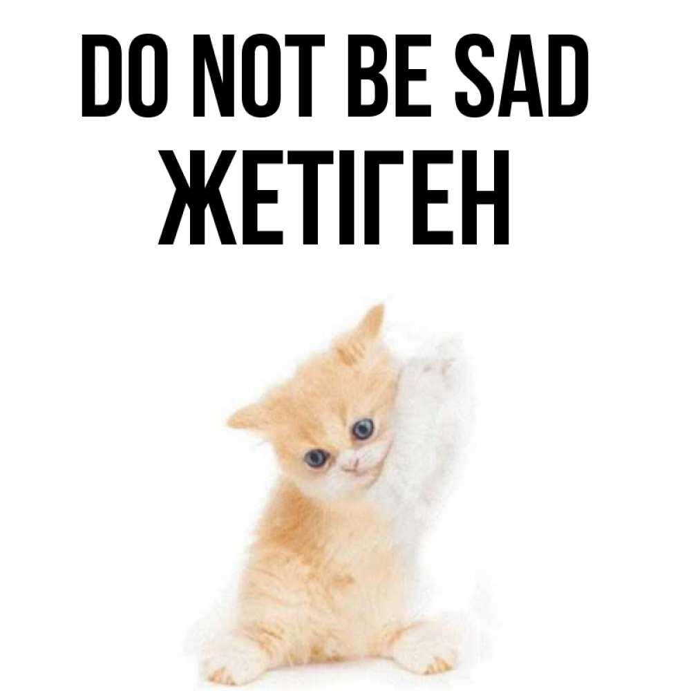 Greetings card с именем, Жетіген Do not be sad просящий кот Greetings with text for free download 