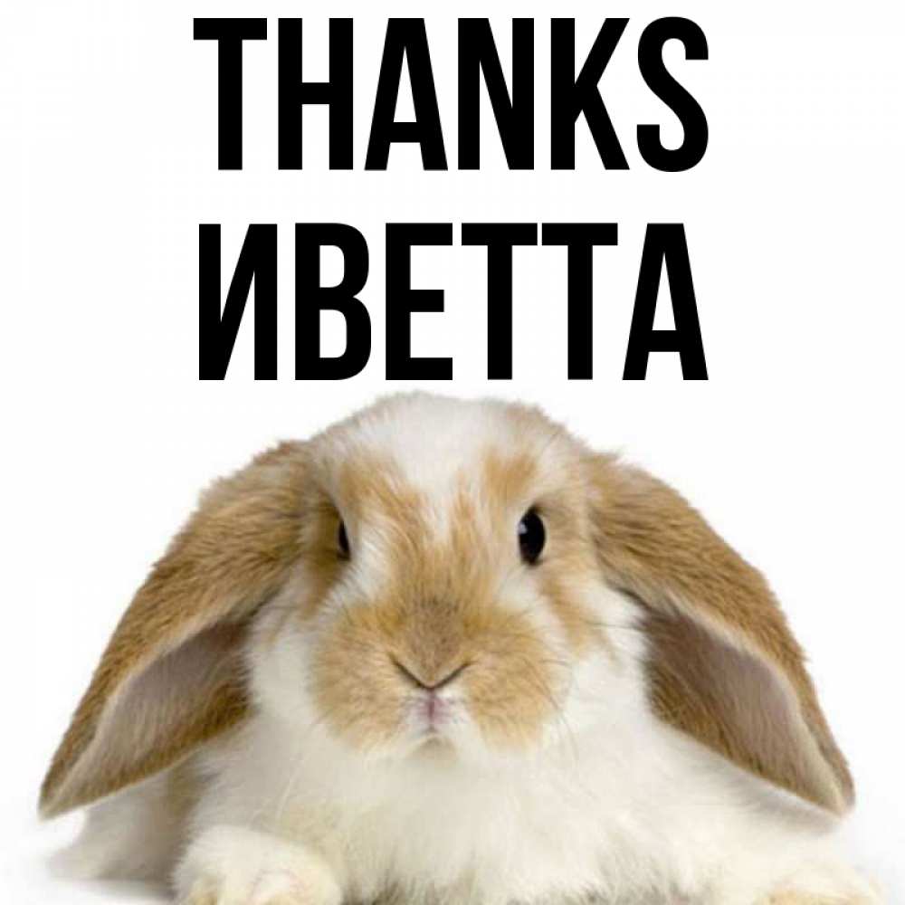 Greetings card с именем, Иветта Thanks коричнево белый заяц Greetings with text for free download 