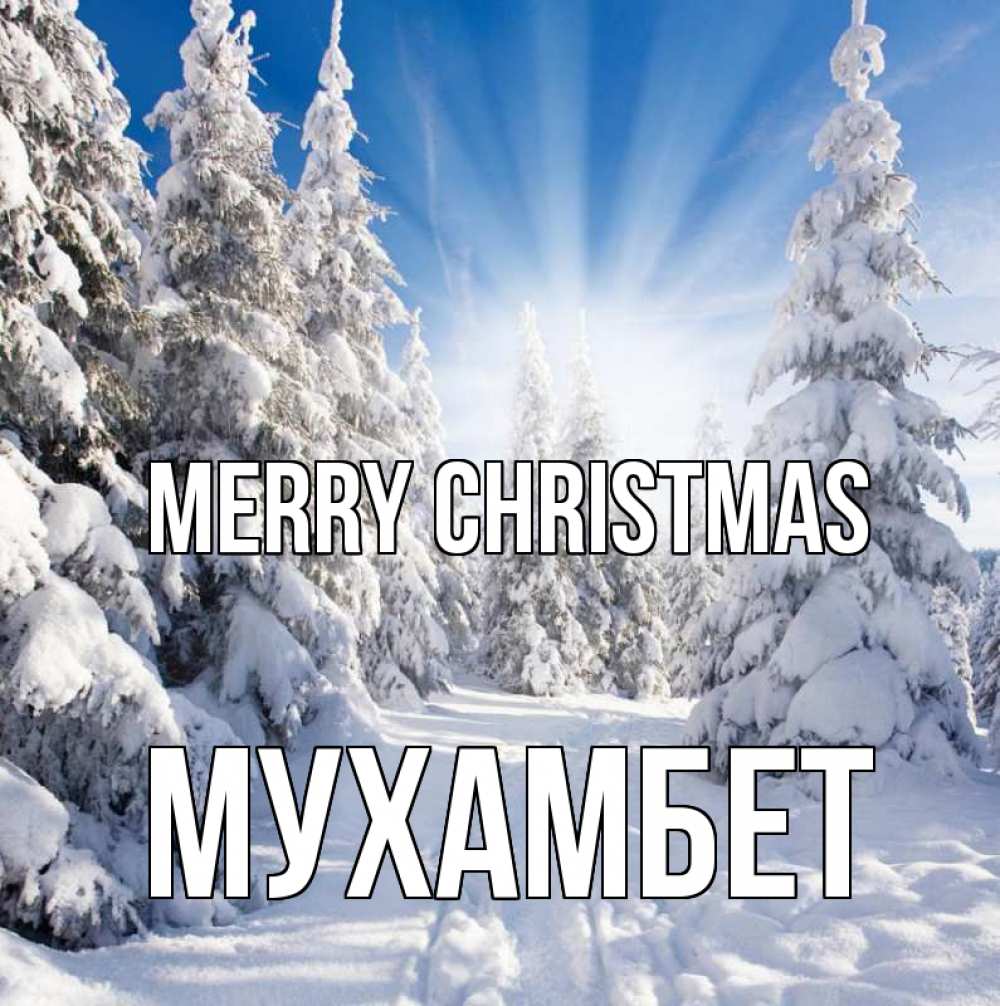 Greetings card с именем, МУХАМБЕТ Merry Christmas зима, лес Greetings with text for free download 