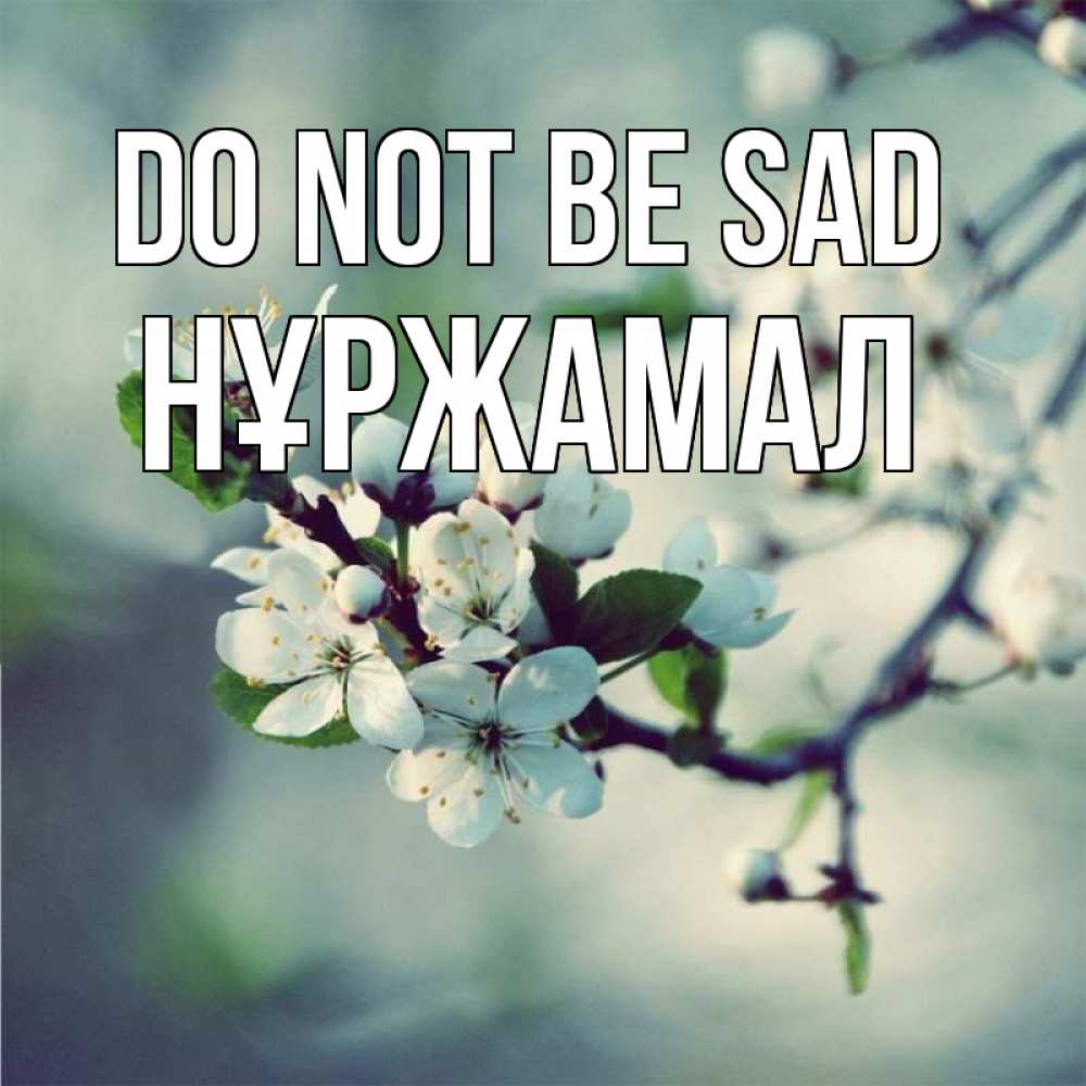 Greetings card с именем, НҰРЖАМАЛ Do not be sad яблоня в цвету 1 Greetings with text for free download 