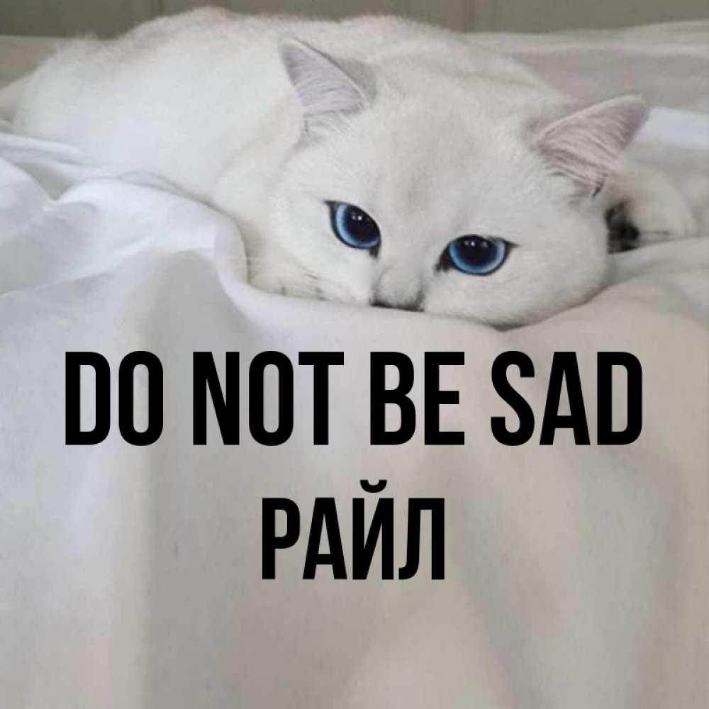 Greetings card с именем, РАЙЛ Do not be sad Голубоглазая кошка Greetings with text for free download 