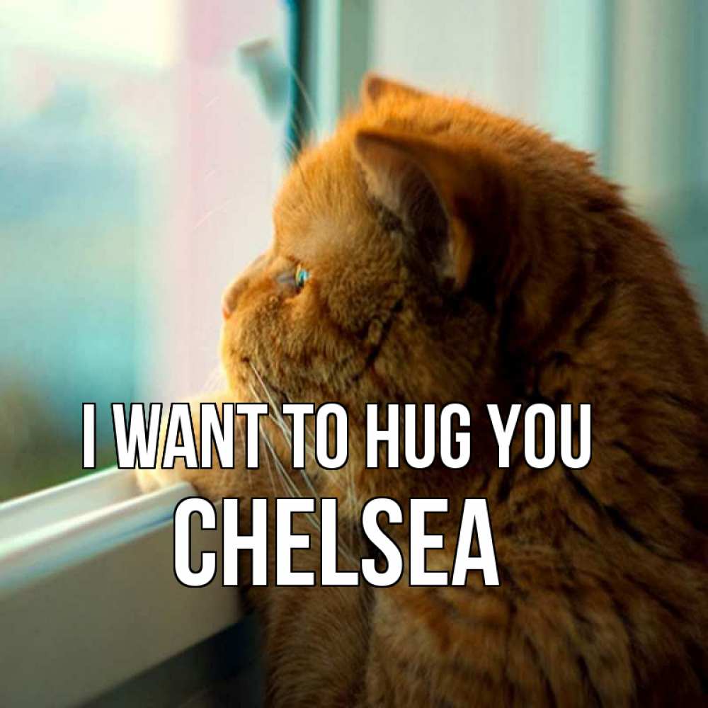 Greetings card с именем, Chelsea I want to hug you большой огромный рыжий котяра Greetings with text for free download 