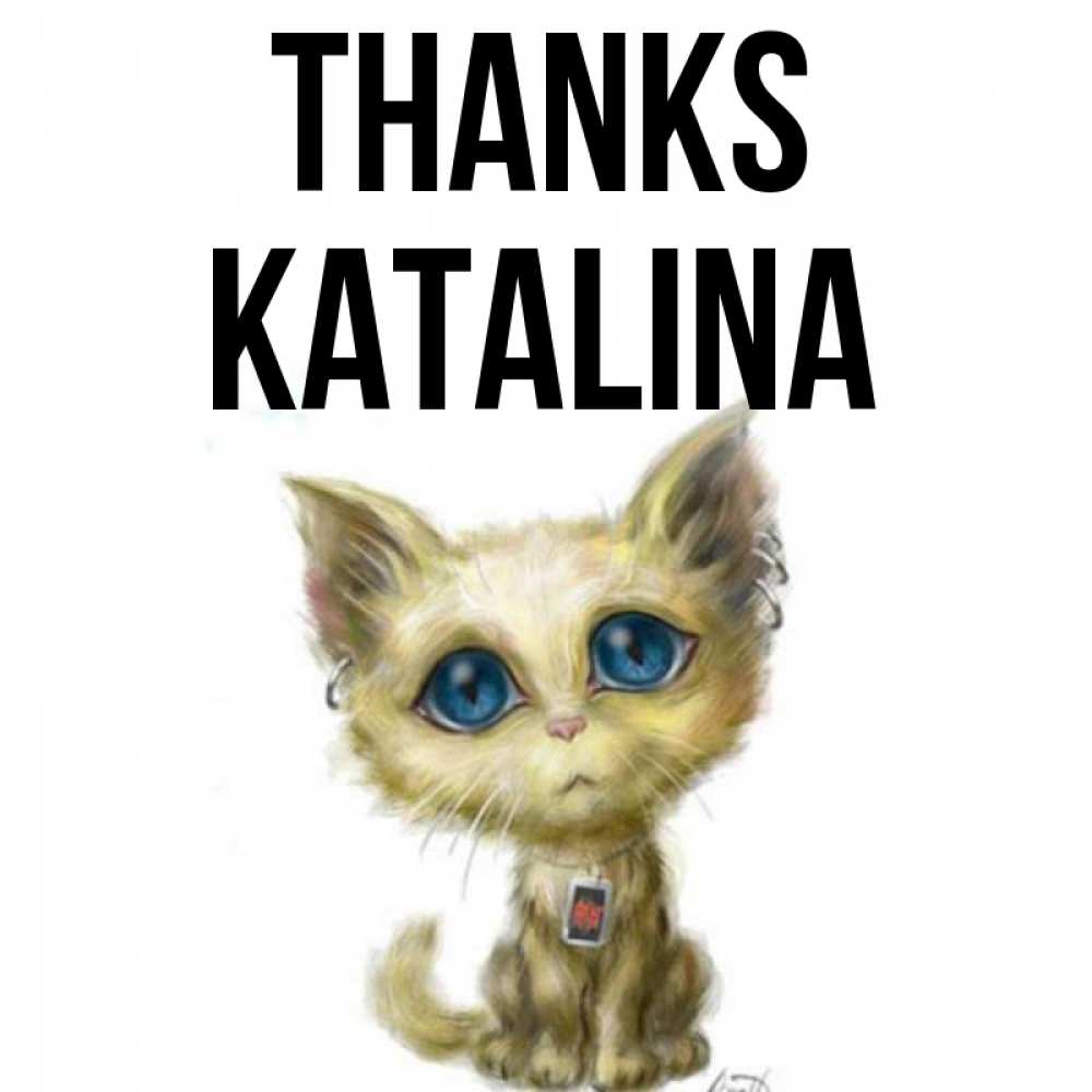 Greetings card с именем, Katalina Thanks рисованный кот благодарит вас Greetings with text for free download 