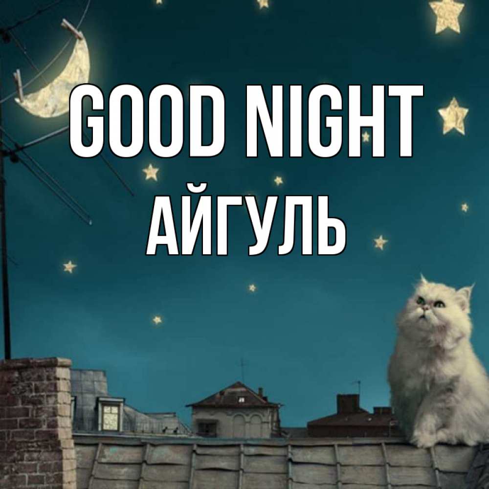 Greetings card с именем, Айгуль Good night белый кот сидит на крыше Greetings with text for free download 