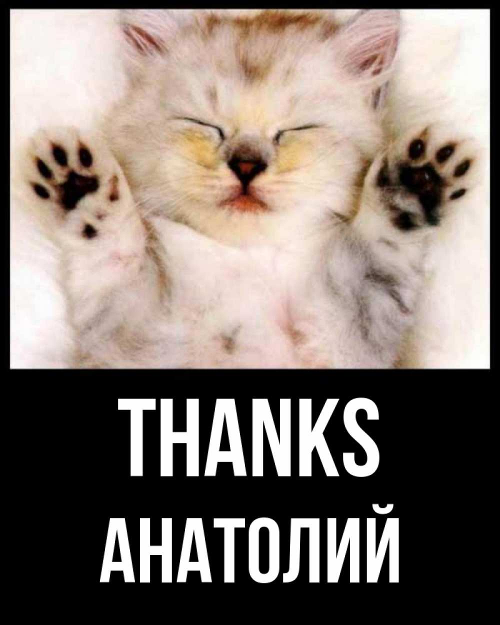 Greetings card с именем, Анатолий Thanks маленький котенок Greetings with text for free download 