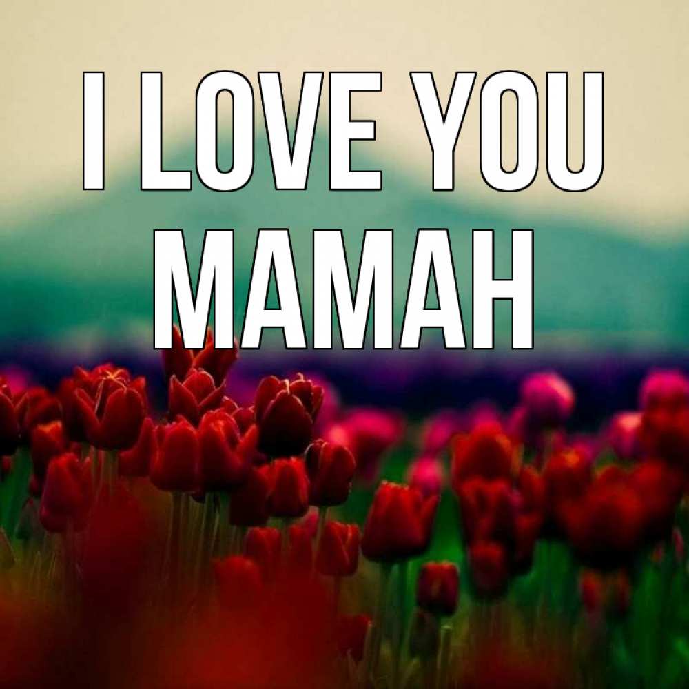 Greetings card с именем, МАМАН I love you тюльпаны 4 Greetings with text for free download 