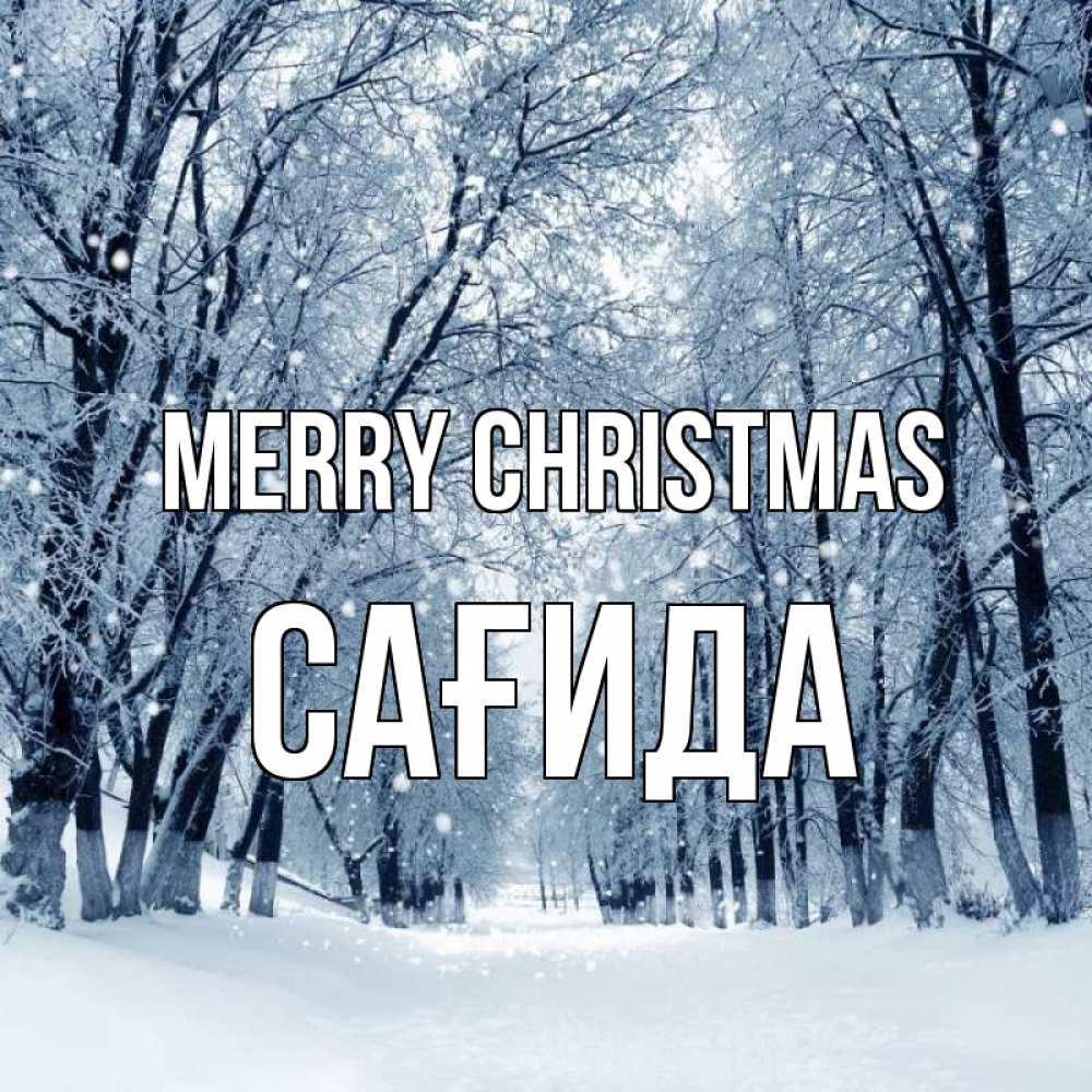Greetings card с именем, САҒИДА Merry Christmas снег, лес, парк Greetings with text for free download 