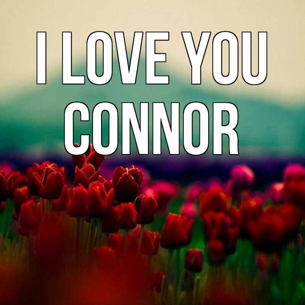 Greetings card с именем, Connor I love you тюльпаны 4 Greetings with text for free download 