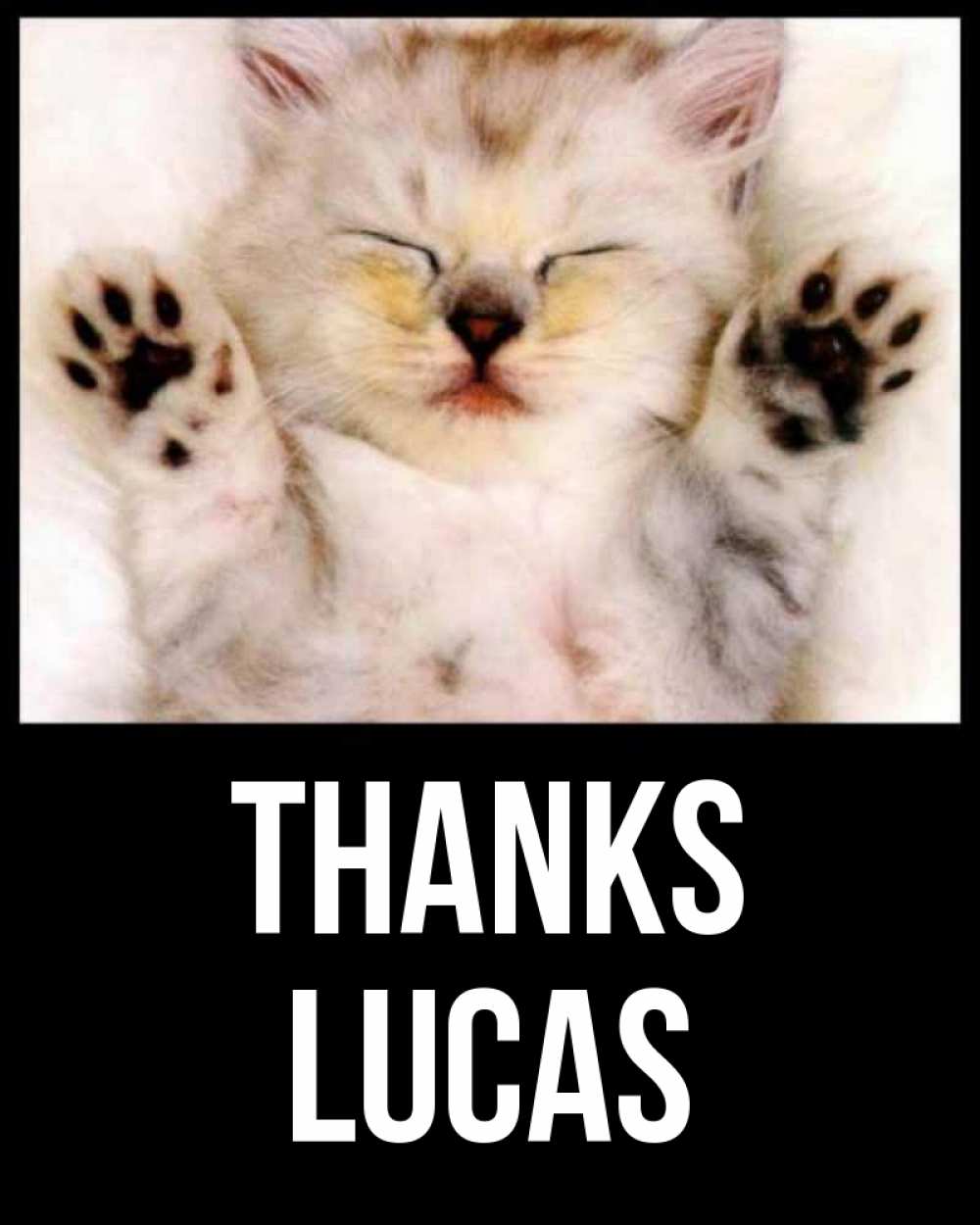 Greetings card с именем, Lucas Thanks маленький котенок Greetings with text for free download 