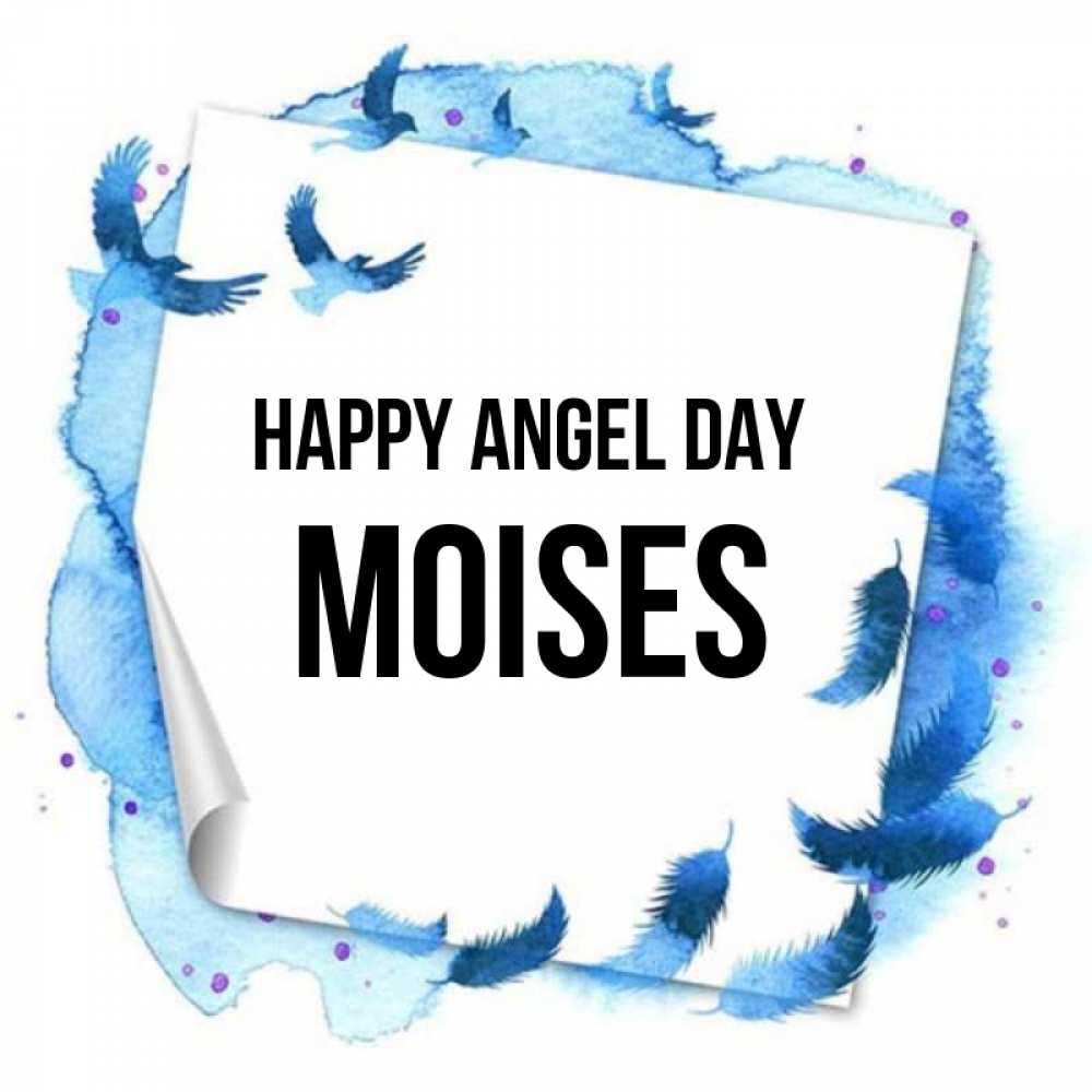Greetings card с именем, Moises happy angel day красивые птицы летят Greetings with text for free download 