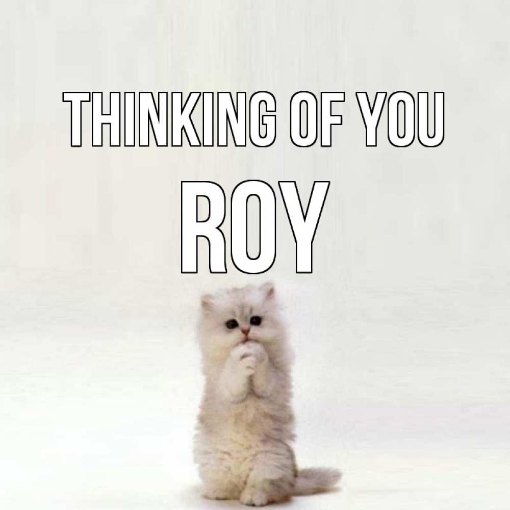 Greetings card с именем, Roy Thinking of you кот стоит на задних лапах Greetings with text for free download 