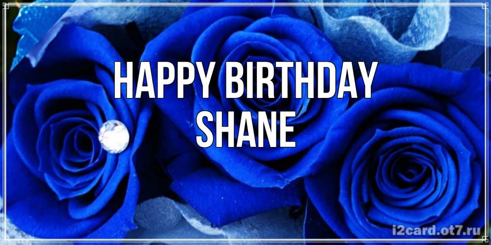 Greetings card с именем, Shane Happy Birthday синие розы в росе Greetings with text for free download 
