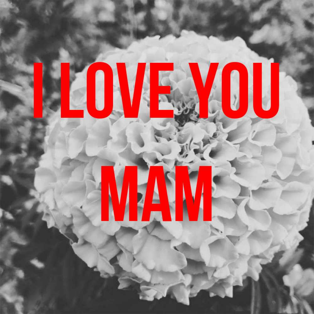 Greetings card с именем, mam I love you подпись Greetings with text for free download 