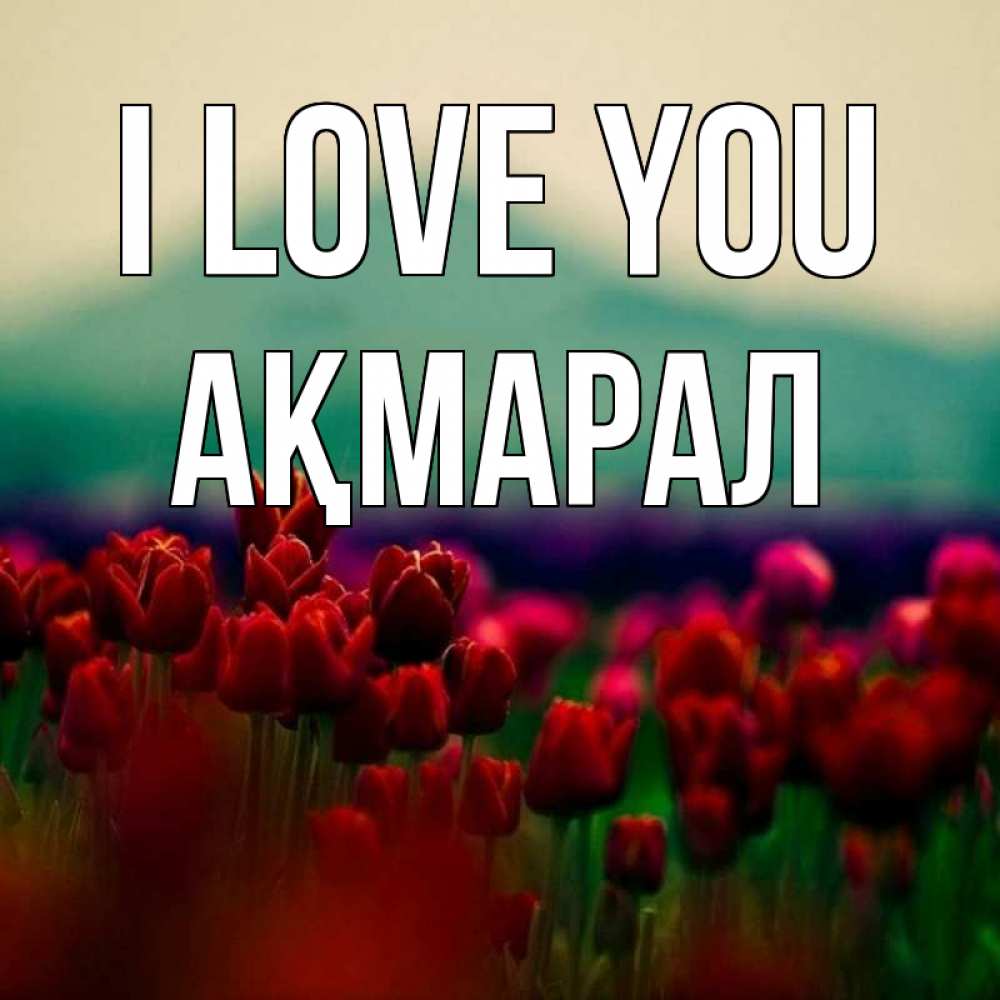 Greetings card с именем, АҚМАРАЛ I love you тюльпаны 4 Greetings with text for free download 