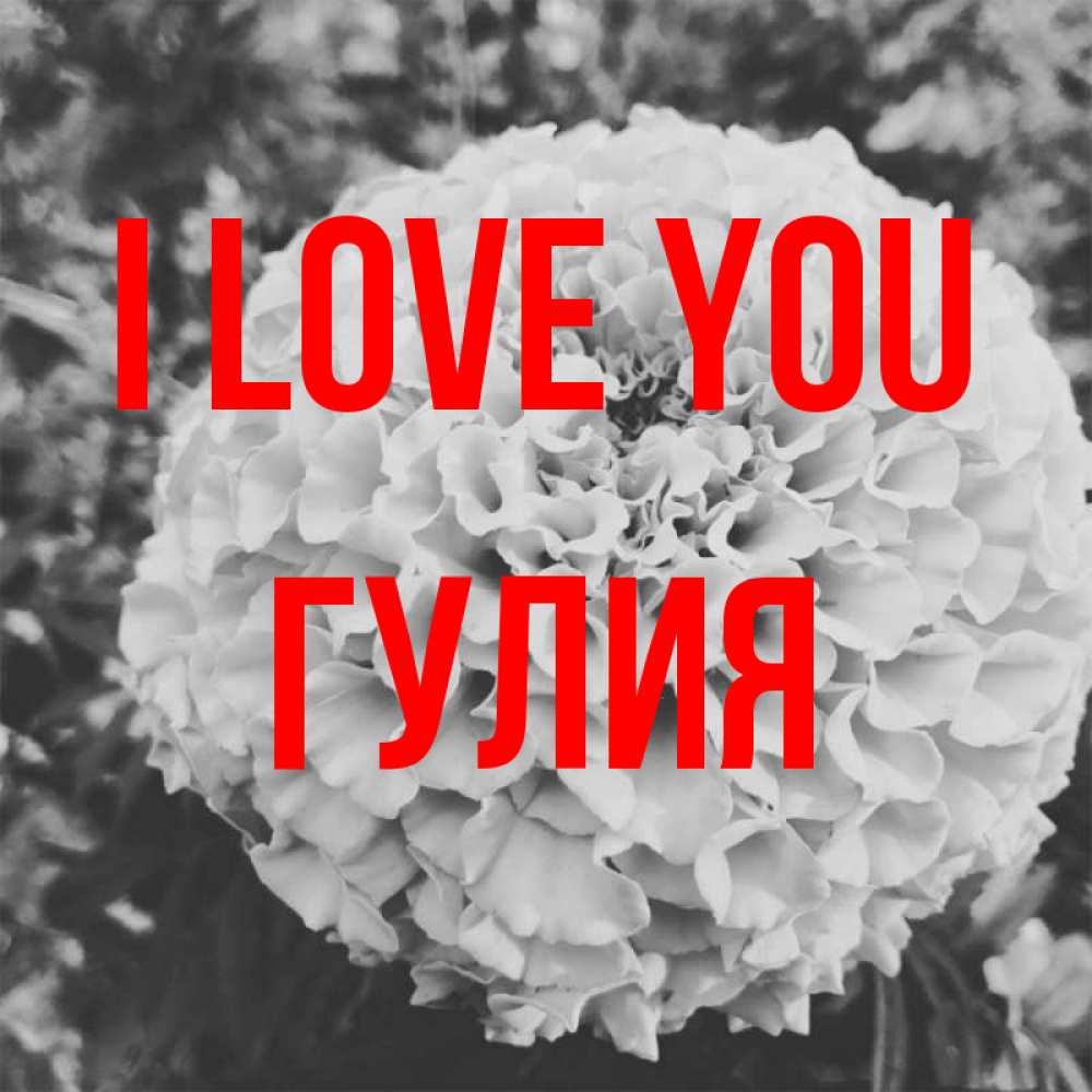Greetings card с именем, Гулия I love you подпись Greetings with text for free download 