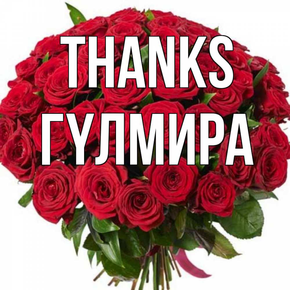 Greetings card с именем, ГҮЛМИРА Thanks букет красных роз Greetings with text for free download 