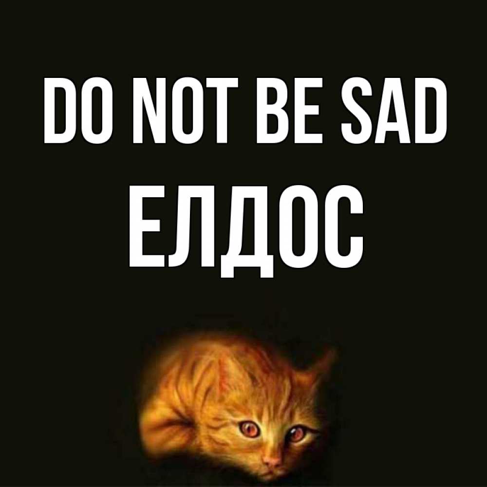 Greetings card с именем, Елдос Do not be sad лежащий кот в темноте Greetings with text for free download 