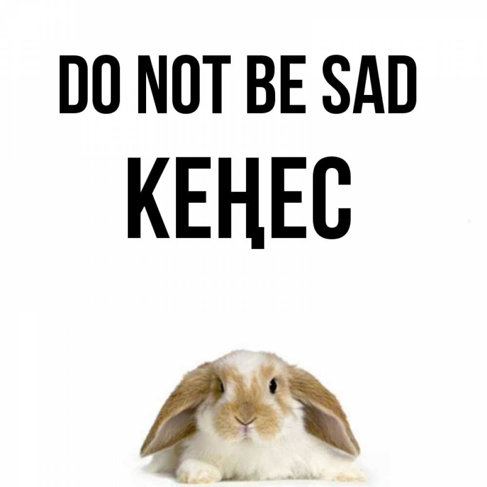 Greetings card с именем, Кеңес Do not be sad коричнево белый заяц с большими ушками Greetings with text for free download 