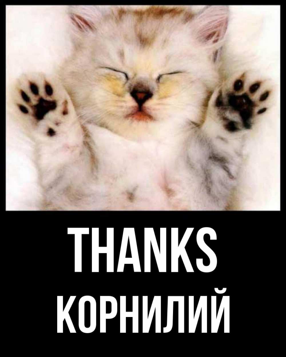 Greetings card с именем, Корнилий Thanks маленький котенок Greetings with text for free download 