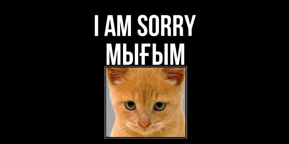 Greetings card с именем, МЫҒЫМ I am sorry рыжий грустный кот просит прощения Greetings with text for free download 