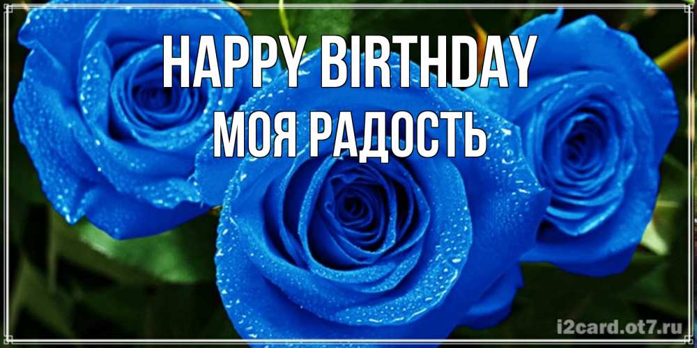 Greetings card с именем, Моя-радость Happy Birthday розы с синим цветом Greetings with text for free download 
