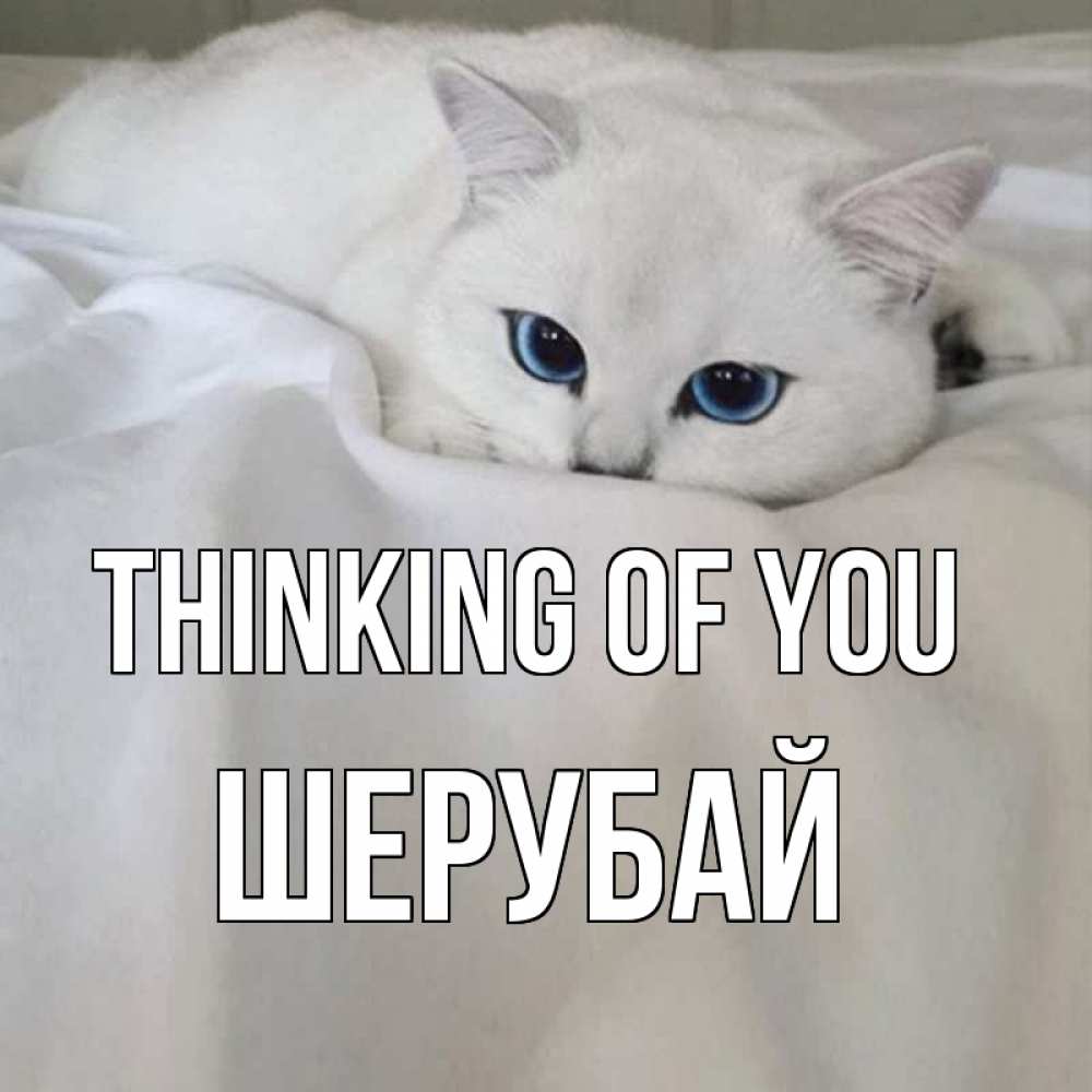 Greetings card с именем, ШЕРУБАЙ Thinking of you я очень по тебе скучаю и тоскую Greetings with text for free download 