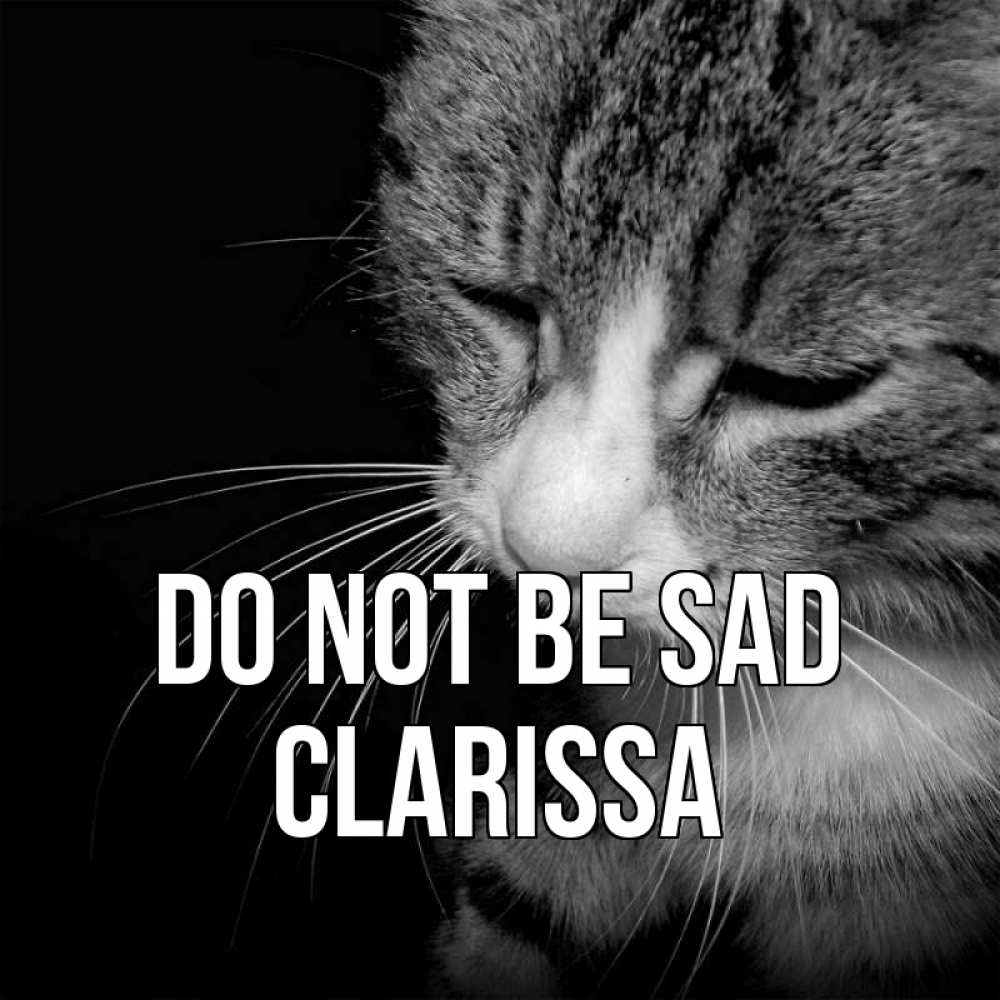 Greetings card с именем, Clarissa Do not be sad грустный котик Greetings with text for free download 