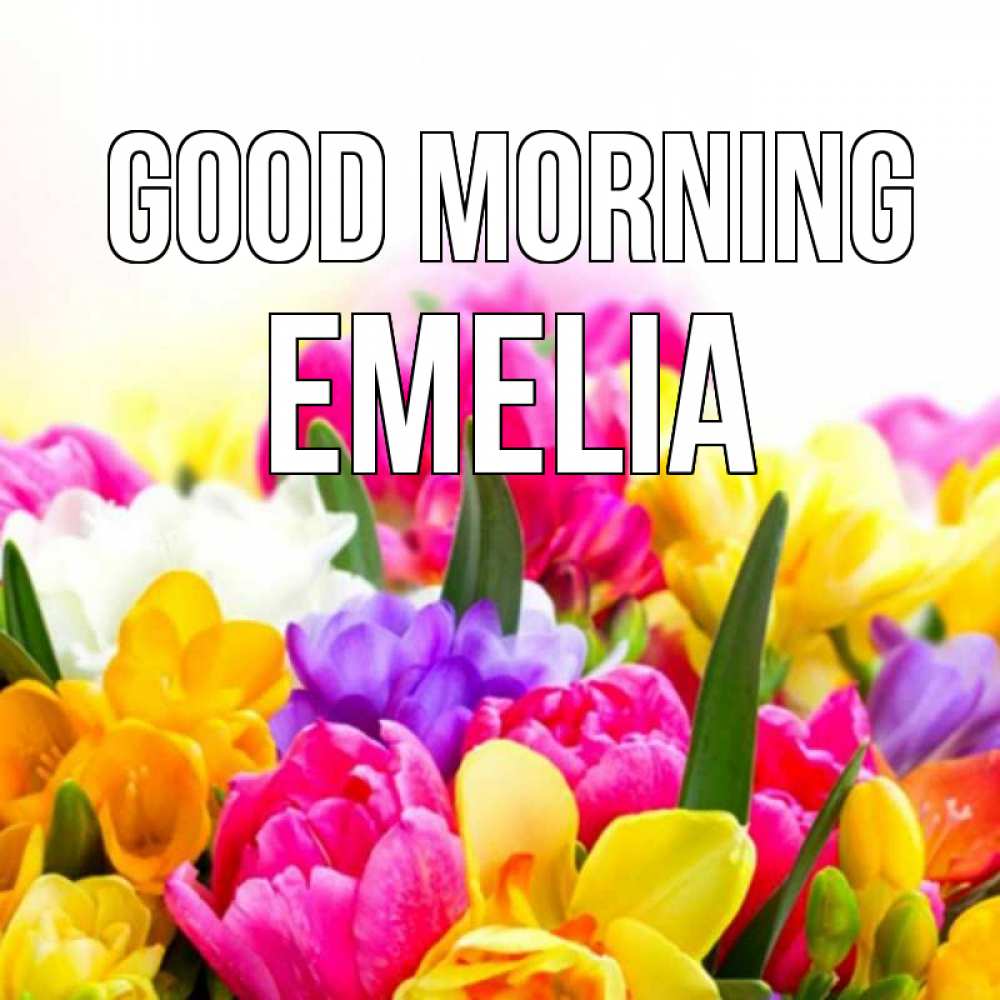 Greetings card с именем, Emelia Good morning создать открытку со свое подписью Greetings with text for free download 