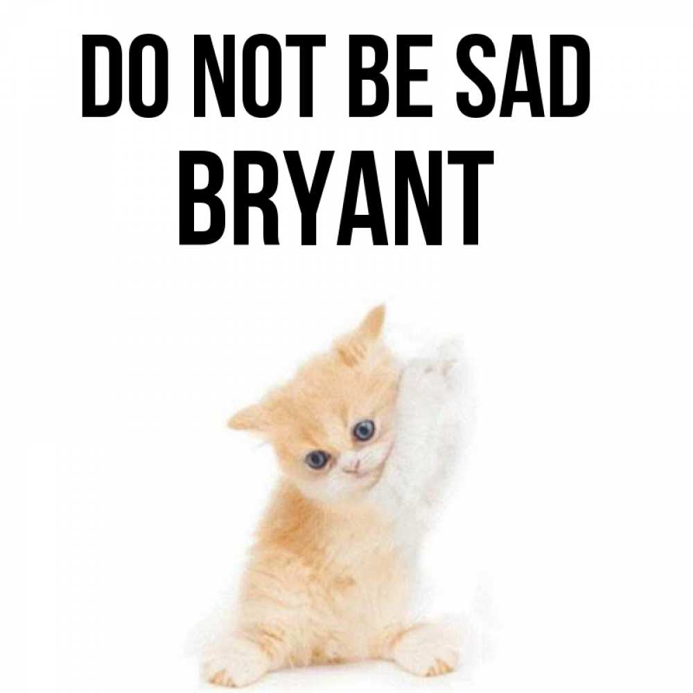 Greetings card с именем, Bryant Do not be sad просящий кот Greetings with text for free download 