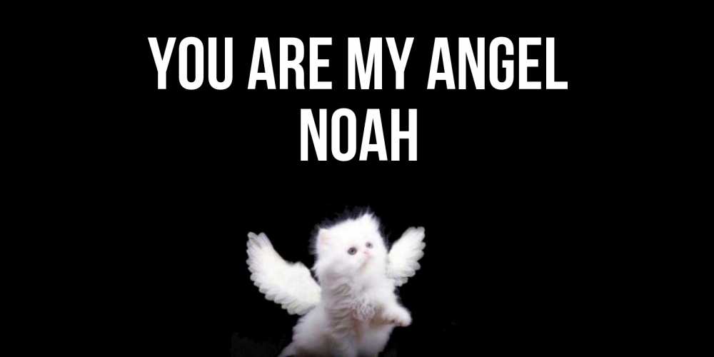 Greetings card с именем, Noah You are my angel Кот ангел Greetings with text for free download 