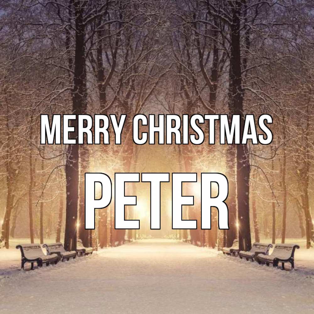Greetings card с именем, Peter Merry Christmas зима, парк, фонарь, лес Greetings with text for free download 