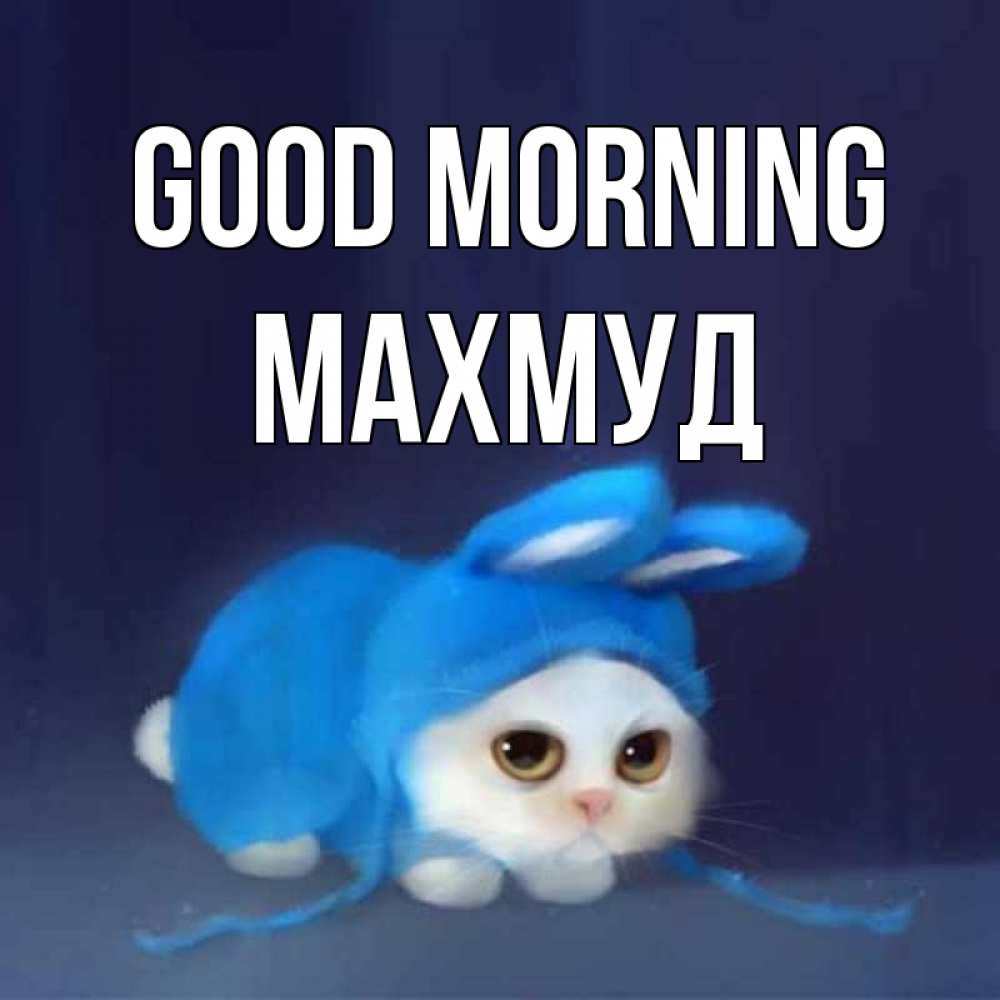 Greetings card с именем, Махмуд Good morning открытки красивые скачать бесплатно Greetings with text for free download 