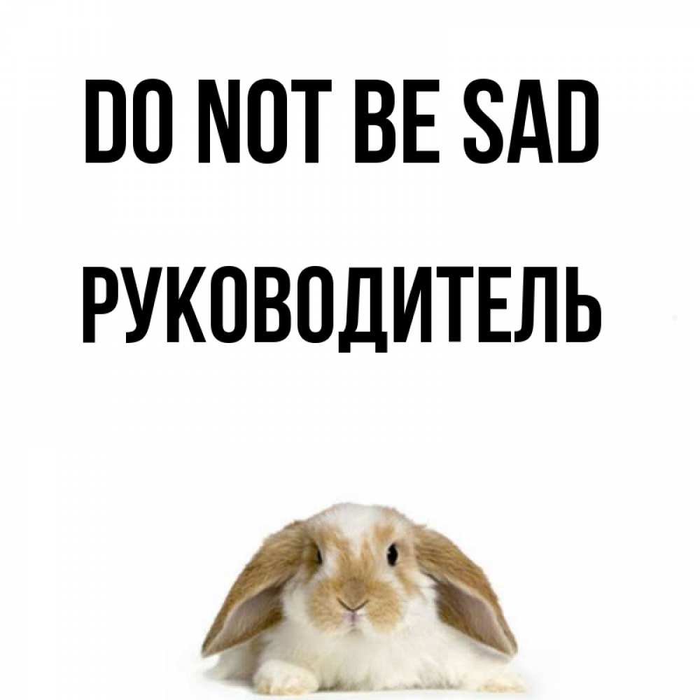 Greetings card с именем, Руководитель Do not be sad коричнево белый заяц с большими ушками Greetings with text for free download 