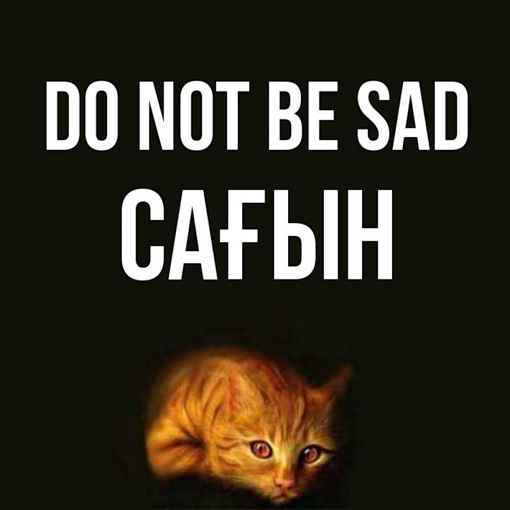 Greetings card с именем, САҒЫН Do not be sad лежащий кот в темноте Greetings with text for free download 