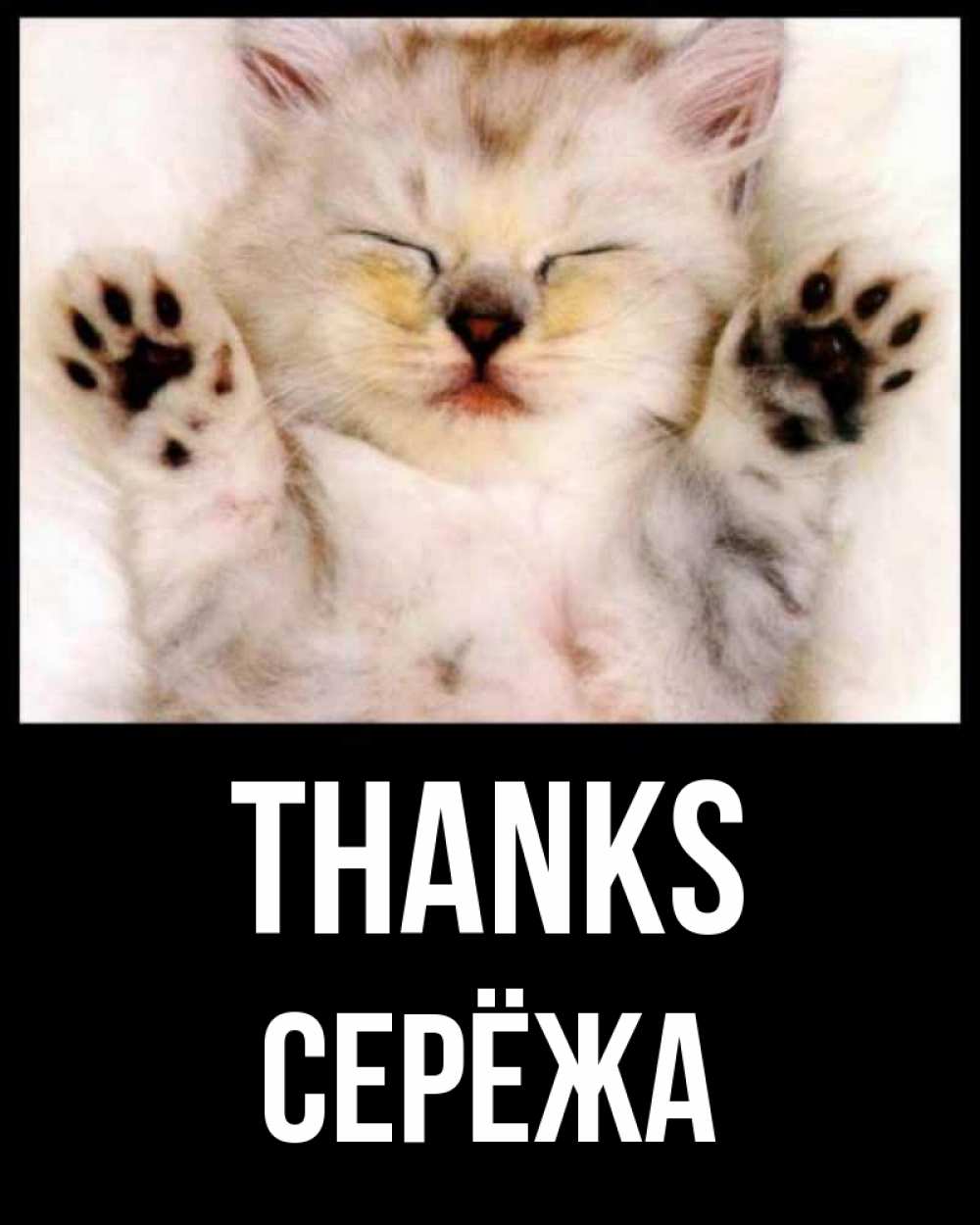 Greetings card с именем, Серёжа Thanks маленький котенок Greetings with text for free download 