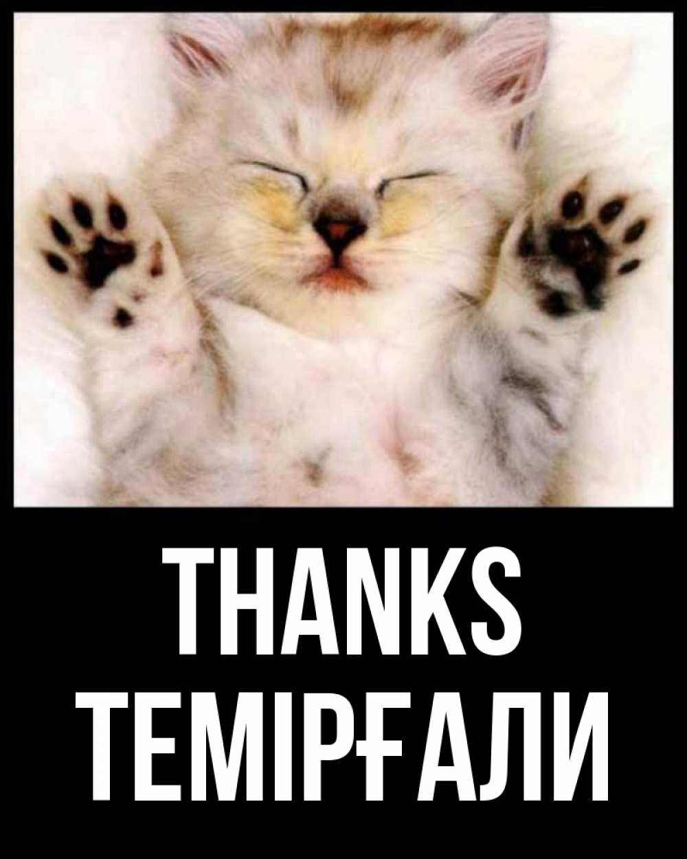 Greetings card с именем, ТЕМІРҒАЛИ Thanks маленький котенок Greetings with text for free download 