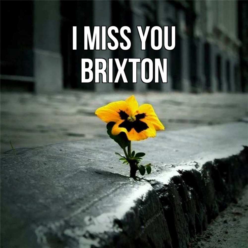 Greetings card с именем, Brixton I miss you надеюсь будет лучше Greetings with text for free download 